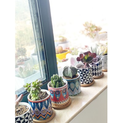 Garden Office Decoration Nordic Style Planter Pot Ceramics Flower Pot for Succulent Plant