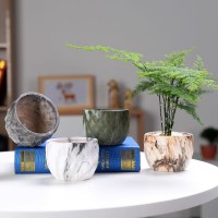 Home Decoration Furnishing Nordic Ceramic Flower Pot Round Flower Pot