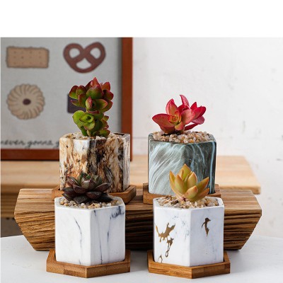 Home Garden Decoration Hexagon Ceramic Flower Pot for Cactus Succulent Plants